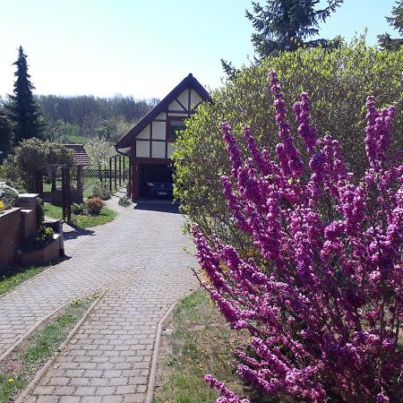 Ferienwohnung Zur Saaleaue Wettin エクステリア 写真