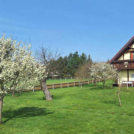 Ferienwohnung Zur Saaleaue Wettin エクステリア 写真