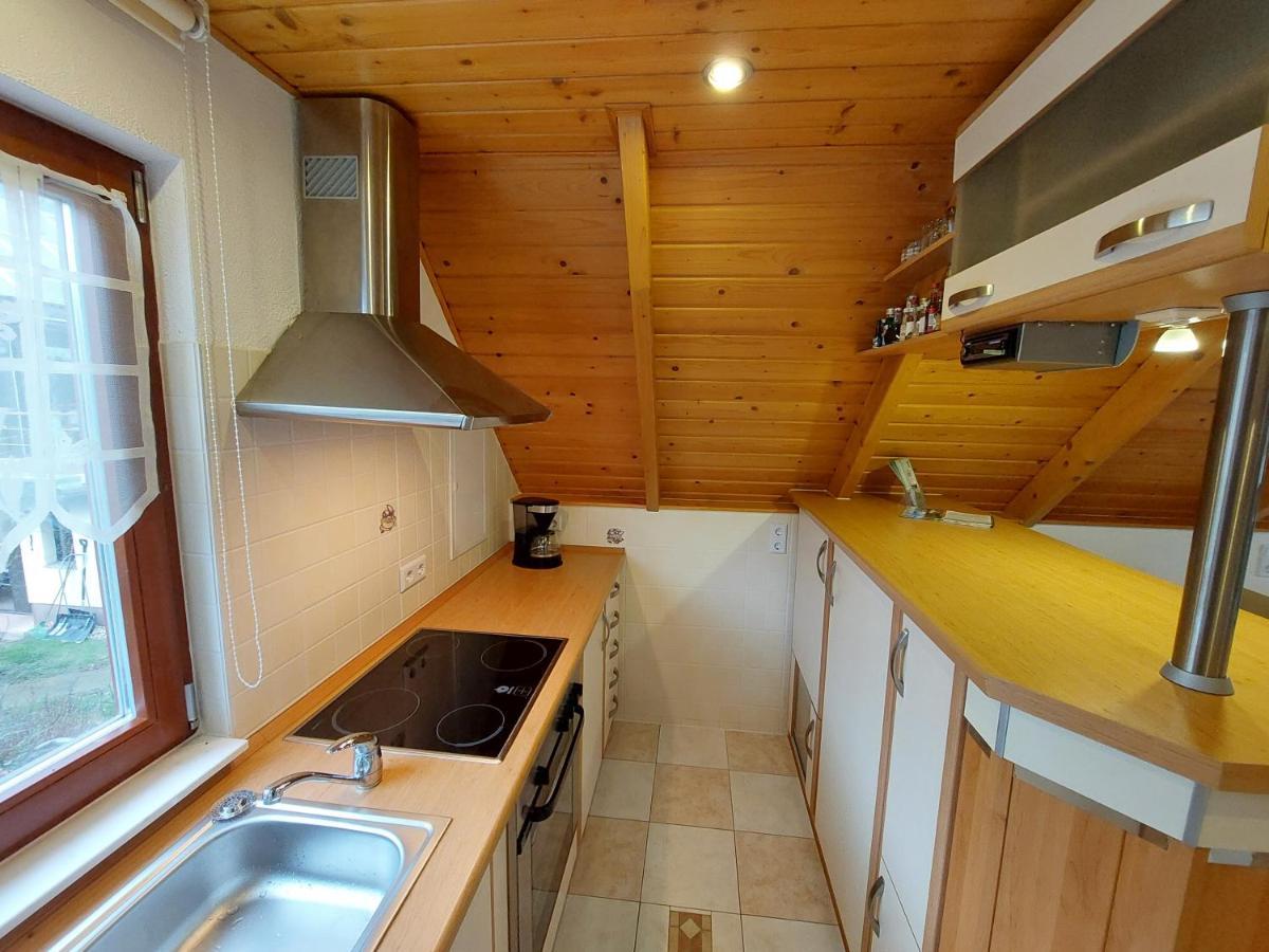 Ferienwohnung Zur Saaleaue Wettin エクステリア 写真