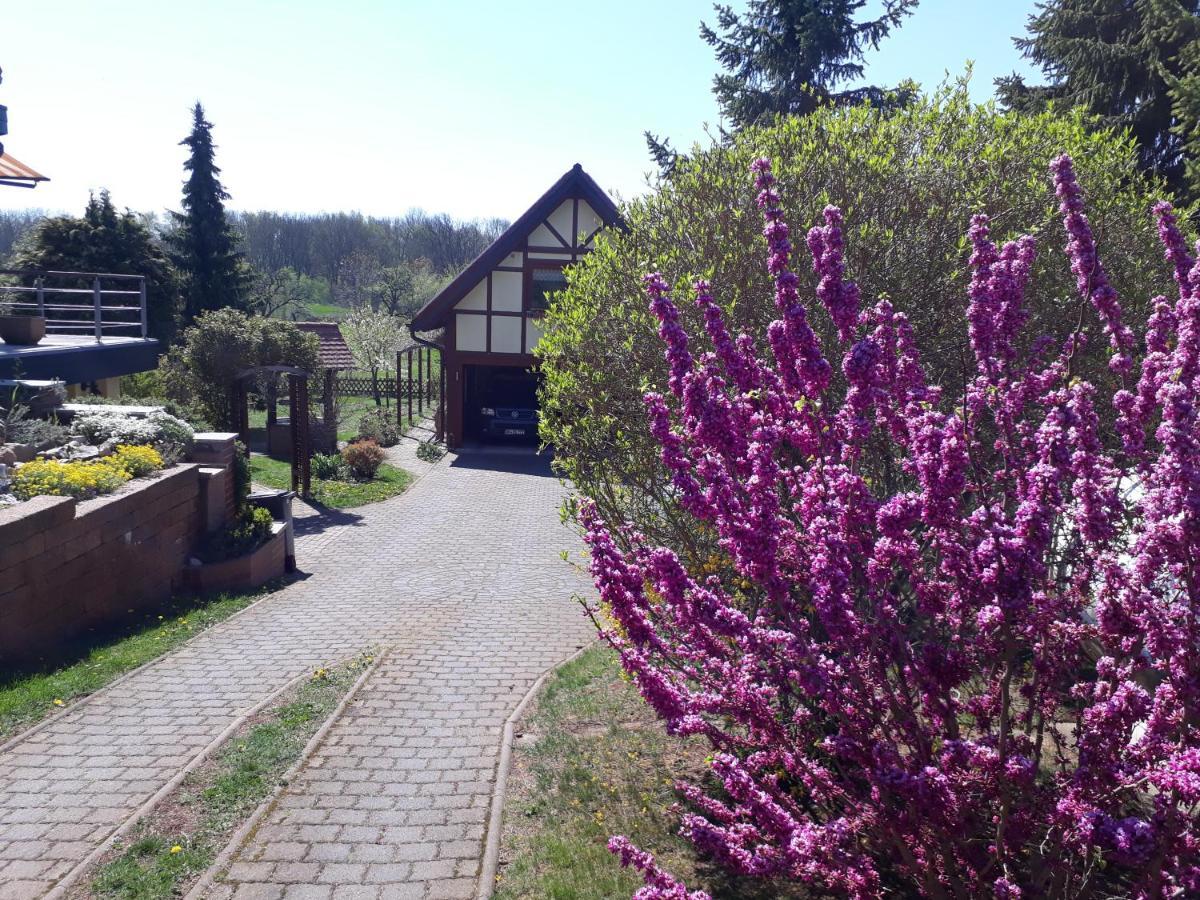 Ferienwohnung Zur Saaleaue Wettin エクステリア 写真
