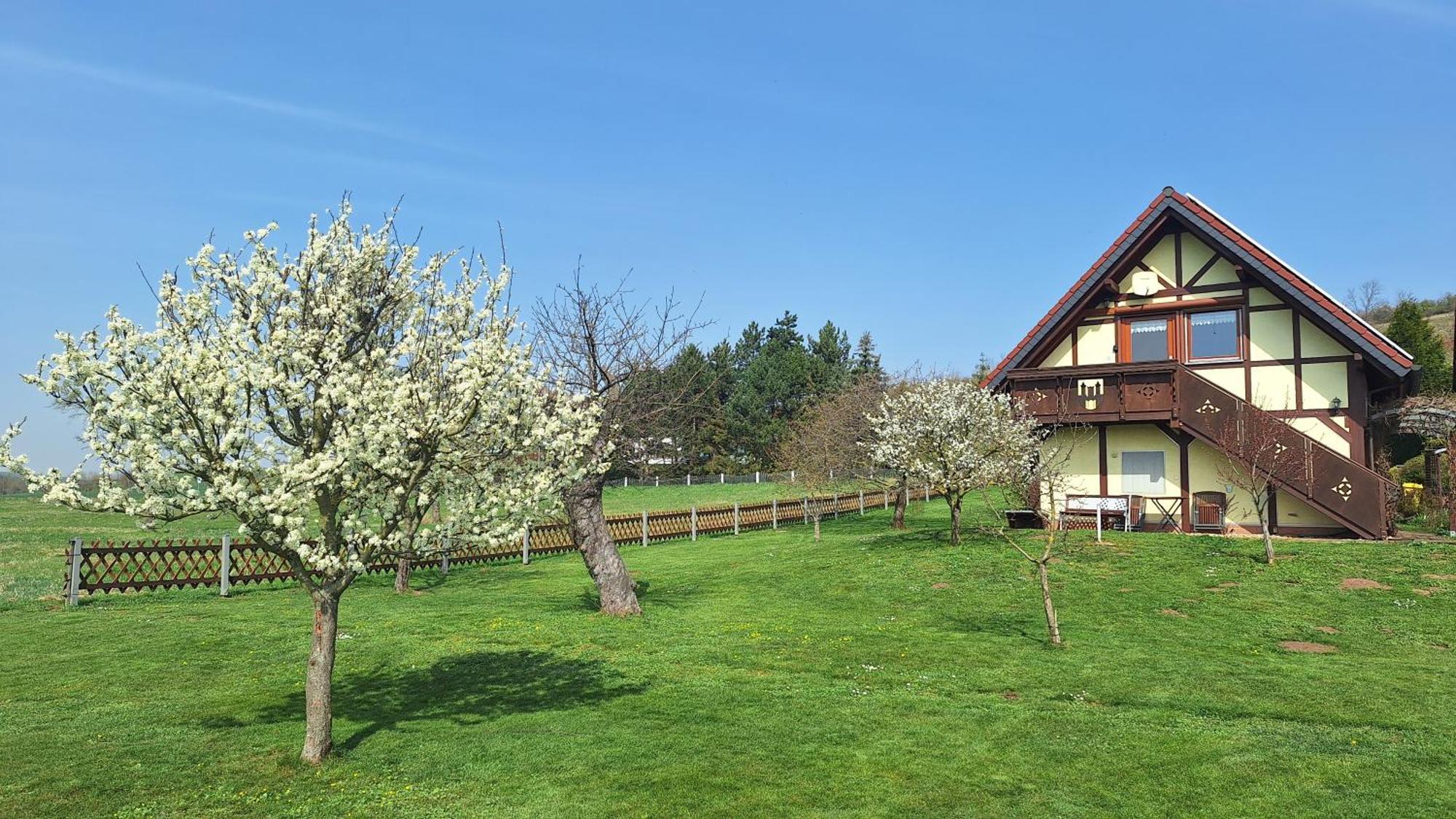 Ferienwohnung Zur Saaleaue Wettin エクステリア 写真